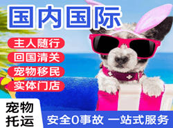 永兴空运国际宠物托运 【国
